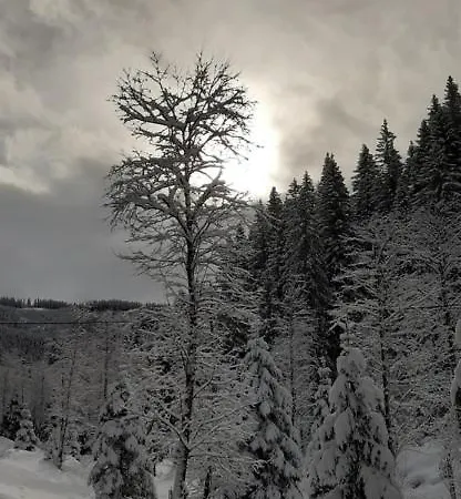 ゲストハウス Und Weinschreiber