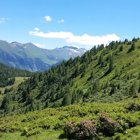 Und Weinschreiber Раурис