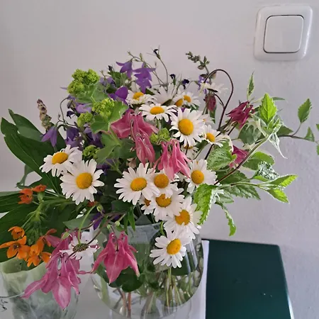 Гостевой дом Und Weinschreiber 3*